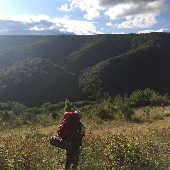 Meet your Posher, Katie - Picture 1 of 1